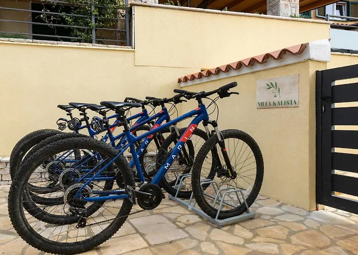 Kalista Istriana Tatil Evi *